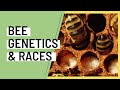 Honey Bee Genetics w/ Prime Bees Apiary
