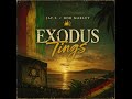 Jay Z x Bob Marley - Exodus Tings