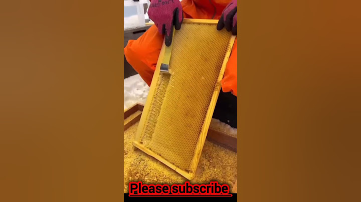 The Most "Satisfying" Video in the World that Makes You Feel Complete#satisfyingvideo#shorts