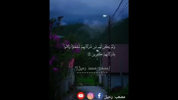 تلاوة خاشعة بصوت القارئ:مصعب رحيل