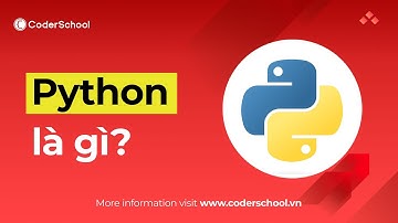 Giải thích nhanh Python là gì? Tại sao dân Data ưa chuộng Python?
