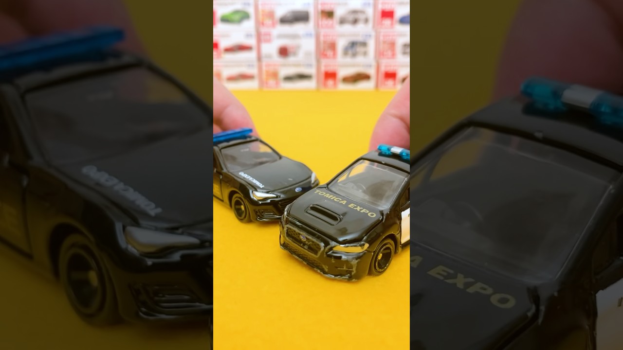 Who Is the Black Police Car’s Friend?!🚨 Tomica & Hot Wheels Friends