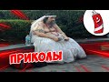 ЗАСМЕЯЛСЯ - ПОДПИСАЛСЯ! | FUNNY MOMENTS 2023 | 629 СЕКУНД СМЕХА! | #346