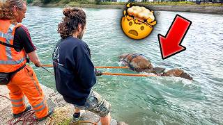 Back At The WW2 Magnet Fishing Hotspot For More Treasure! by Bondi Treasure Hunter 160,515 views 4 months ago 25 minutes