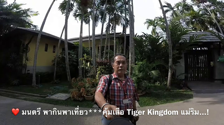 Tiger kingdom chiangmai maerim อำเภอแม ร ม เช ยงใหม