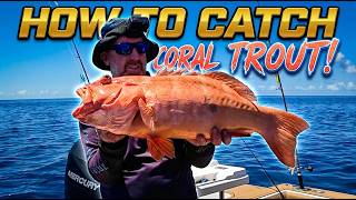 How to CATCH Coral Trout (It's Easier Than You Think)