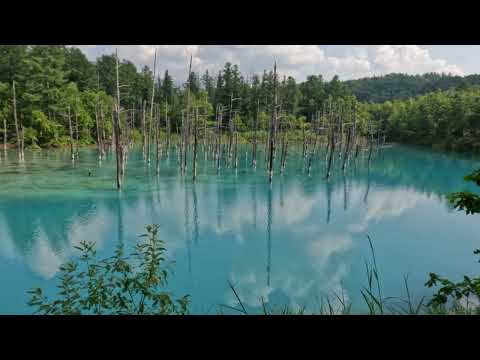 Hokkaido Summer 2024 (Final Cut v2)