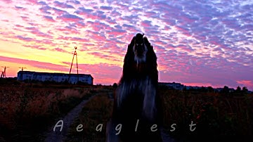 [MEP] Applause Part 1 Aeaglest