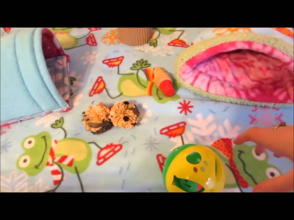 guinea pig house Guinea Pig Christmas Cage Tour and Pet Room!