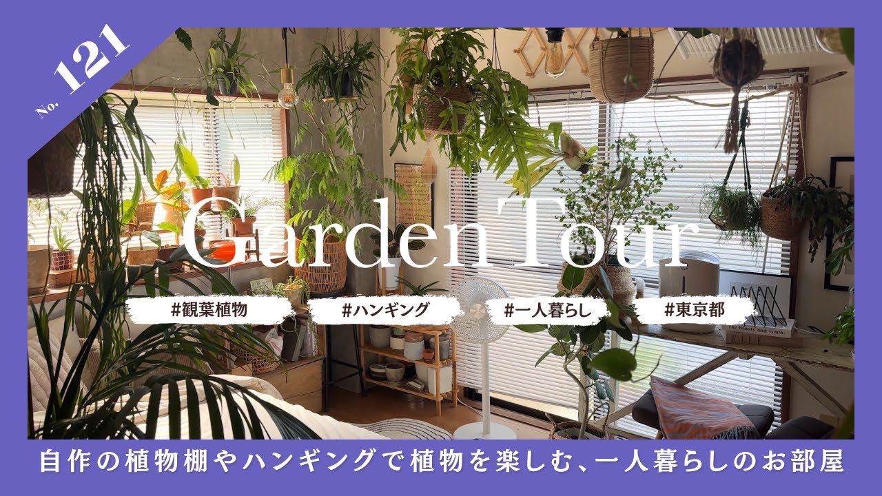 🕊Garden Tour🕊121：自作の植物棚やハンギングで植物を楽しむ