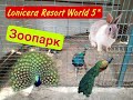 Lonicera Resort World 5*  Зоопарк