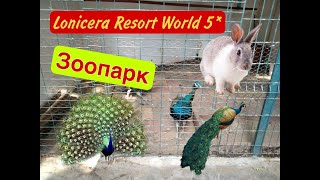 Lonicera Resort World 5*  Зоопарк
