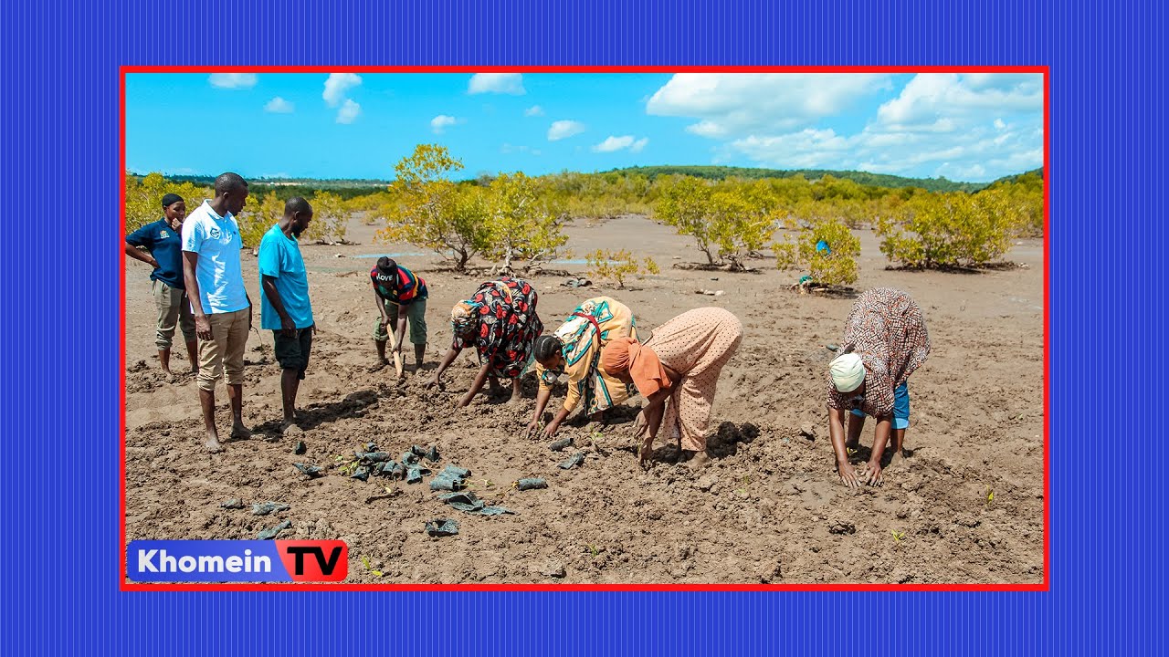 JANGWA LA WACHAWI PANGANI KUOTESHWA MIKOKO