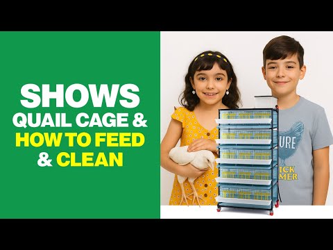 Shows Quail Cage