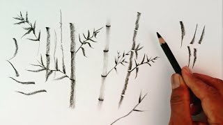 How to draw Bamboo trees by pencil for beginners.