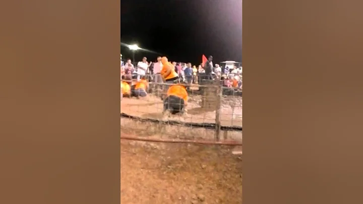 Pig wrestling
