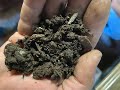 How to apply compost extract on your farm.  A great way to increase soil health.