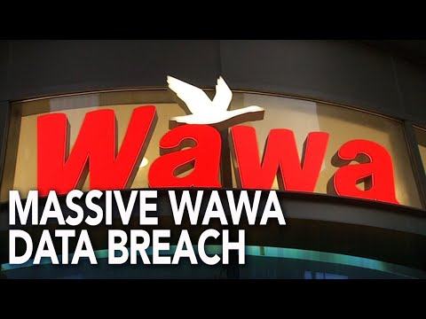 Imlillina Data Breach: Urgent Investigation Launched