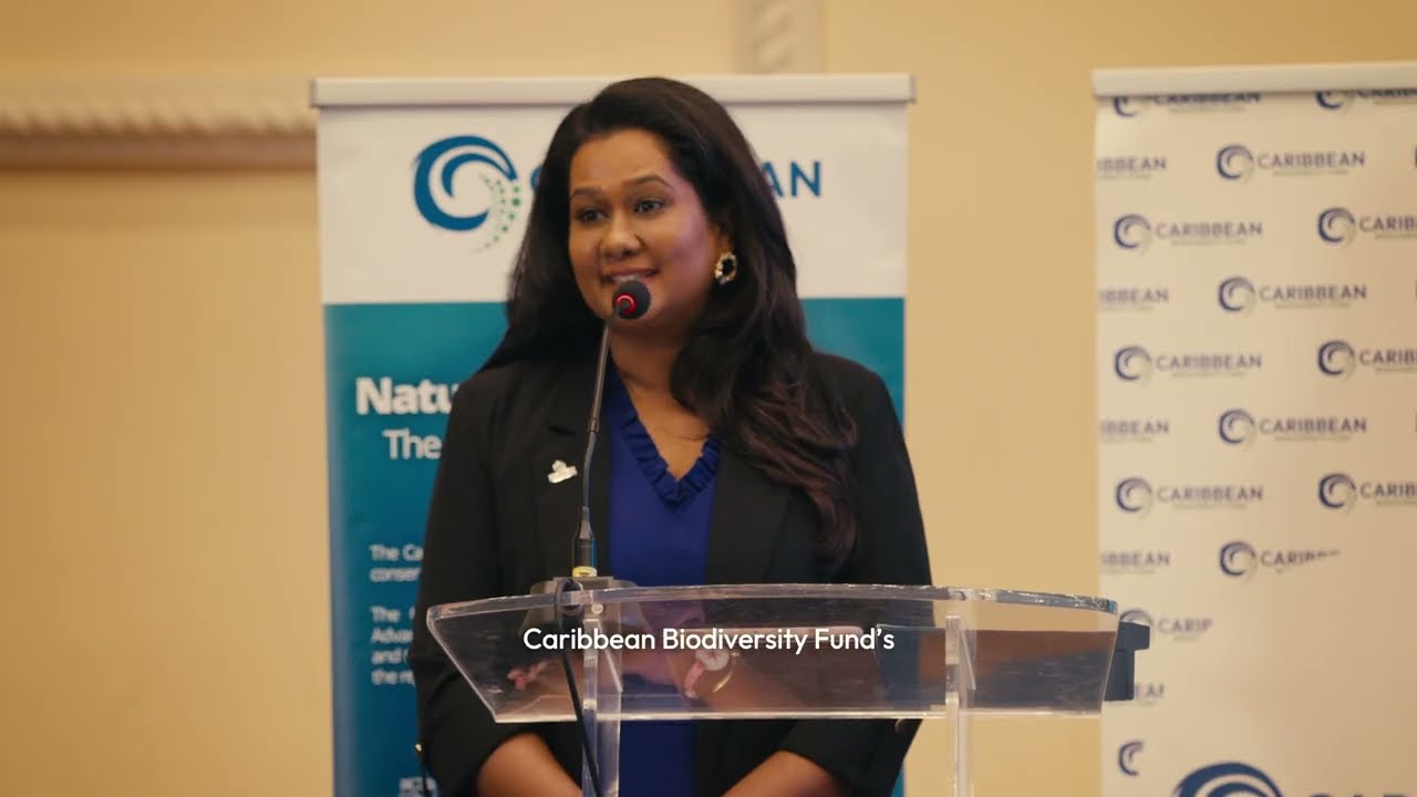 ACE Facility 2nd Call for Proposals | Launch & Technical Webinar (October 2025)