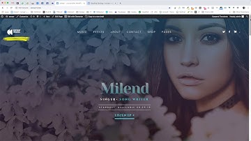 Changing the logos of your website | Sonaar WordPress Themes | Video Tutorials