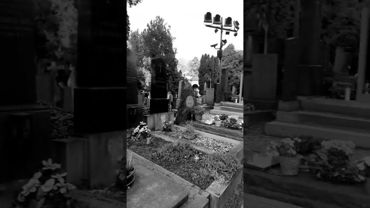 Vyšehrad Cemetery - Worth the visit!