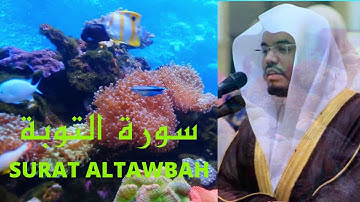 سورة التوبة الشيخ ياسر الدوسري من اروع ما رتل من آيات الذكر الحكيم