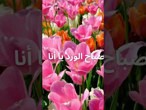 سلام نفسي حرية طبيعة هدوء تحفيز سعادة إيجابية صباح الورد امرأة تطوير الذات