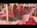 《母の日ギフト》おしゃれかごバッグや鉢植えカーネーションはいかが？　日ごろの感謝を込めて　 (23/04/29 20:30)