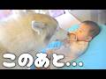 おもちゃを取られそうになった赤ちゃんの反撃が可愛すぎたwww