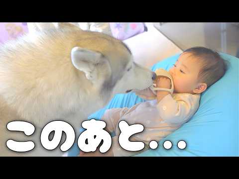 おもちゃを取られそうになった赤ちゃんの反撃が可愛すぎたwww