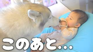 おもちゃを取られそうになった赤ちゃんの反撃が可愛すぎたwww