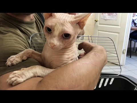 У Мирона сердце❤️как