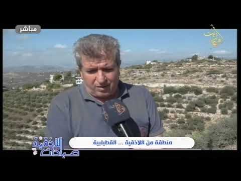 منطقة من اللاذقية القطيلبية