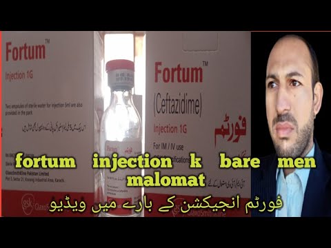 fortum injection dose and use in ordo,ceftazidime formula k bare men,ceftazidime dose,فورٹم انجیکش