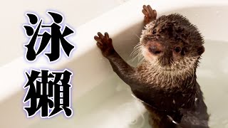 お風呂でごはん。と、鼻くそ事情。 by Otter桜サクチャンネル 413 views 4 months ago 8 minutes, 43 seconds