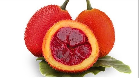 Cách bảo quản gấc ăn quanh năm mà vẫn giữ được dưỡng chất