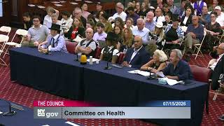 TWU urges the NYC Health Committee not to Ban Carriage Horses