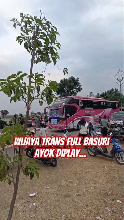 wijaya trans play basuri original #teloletbasuri