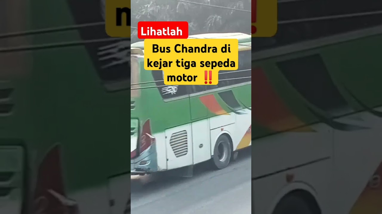 Bus Chandra di kejar sepeda motor ‼️....