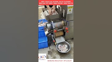 Máy Tách Xương Cá Sông, Cá Biển Làm Chả Cá - 0973.110.295