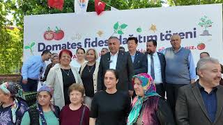 Feke ve Tufanbeyli’de Çiftçilerimize 200 Bin Domates Fidesi Dağıttık