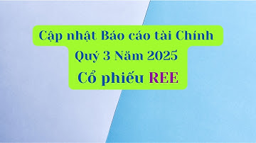 Cập nhật Báo cáo tài chính Quý 3 Năm 2025 của cổ phiếu REE
