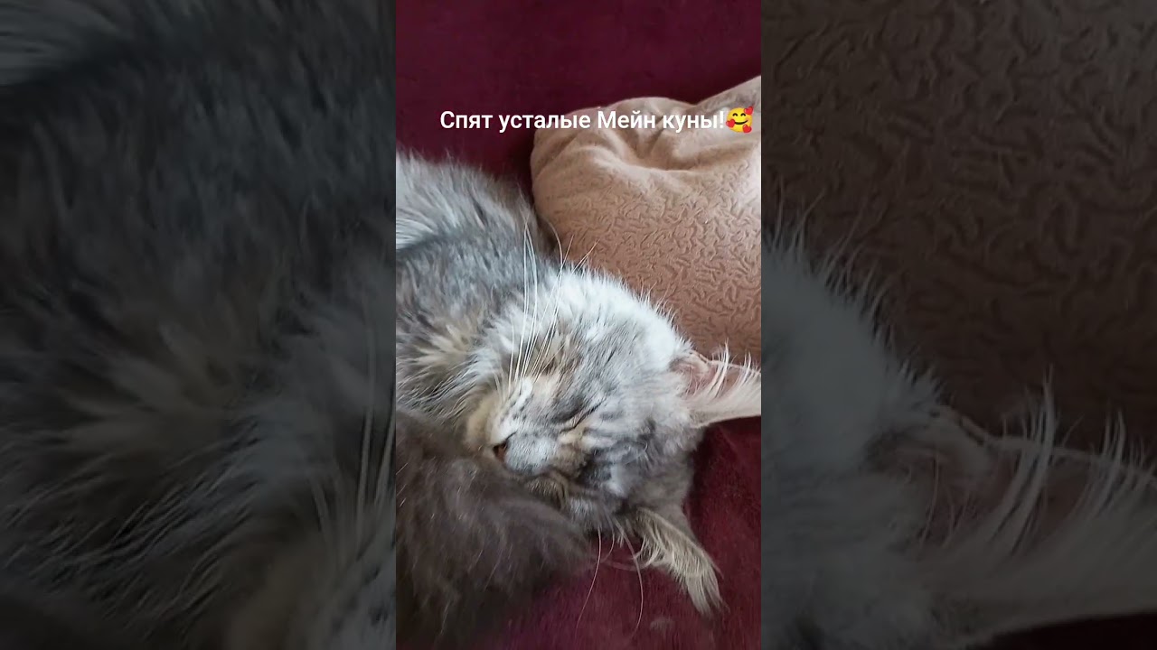 Устали от "работы"! 😍