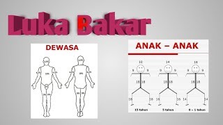 Kebutuhan cairan pada Luka Bakar #04