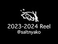 saltnyako - 2023-2024 Reel