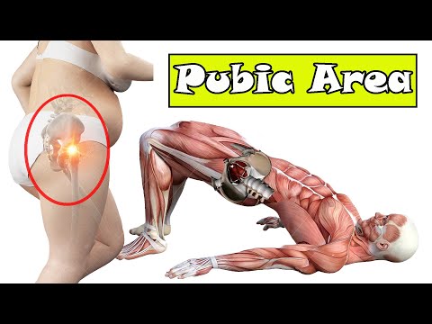 Mons Pubis Fat Loss Exercise: How to Get Rid of Pubic Fat Naturally, by  HolisticHealer