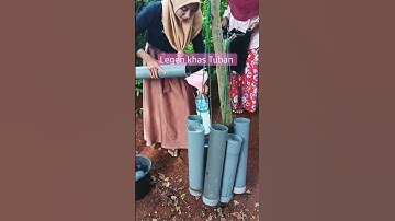 Thumbnail of Minuman Legen Khas Tuban Jatim #shortvideo #malang #viral #shortsyoutube #pemula #music #song #short