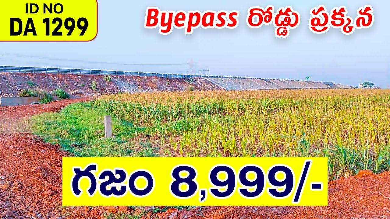 Very Low Cost Land For Sale In Vijayawada YouTube