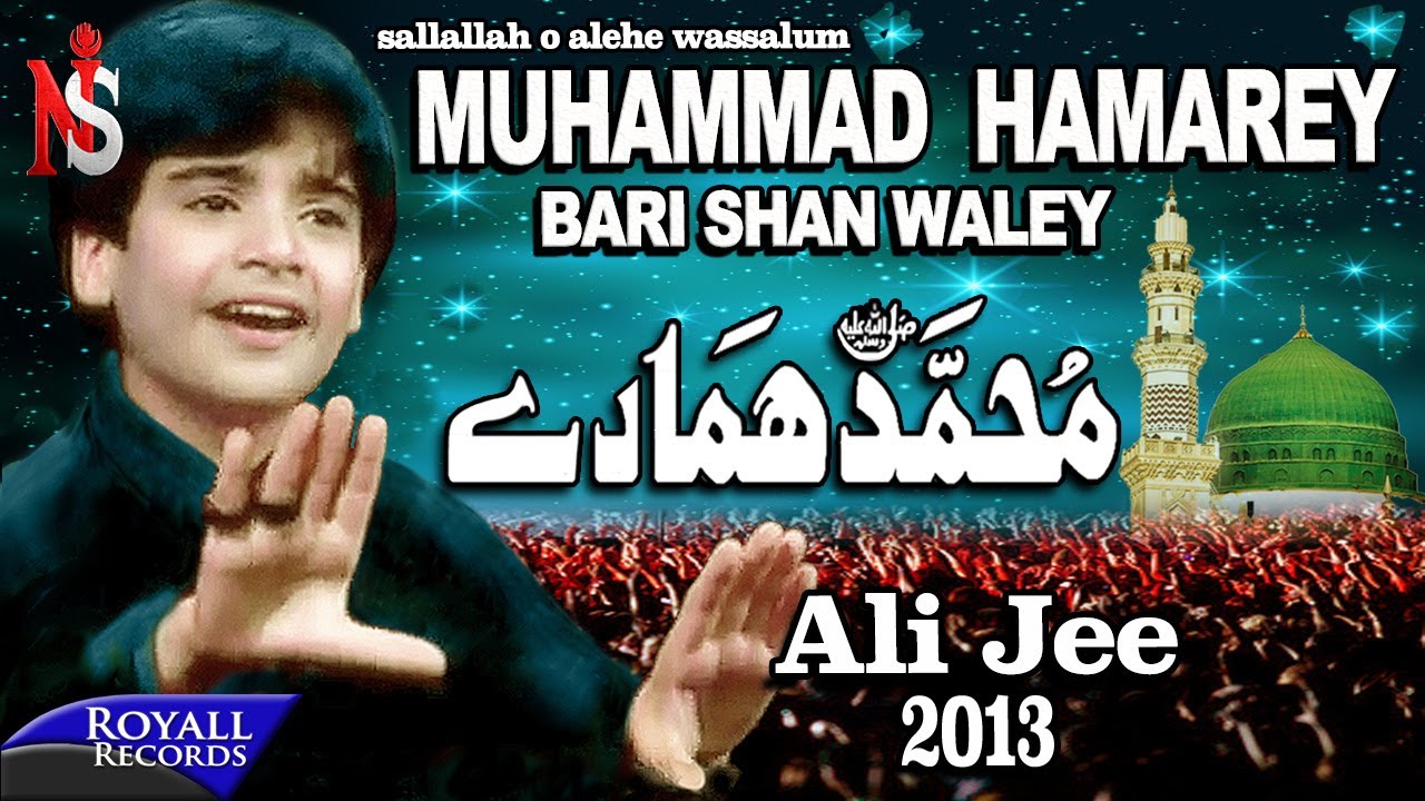 Ali Jee  Muhammad Hamarey  2013   