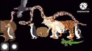 an anlmals run full